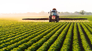 Agricultural sprayer spraying row crops