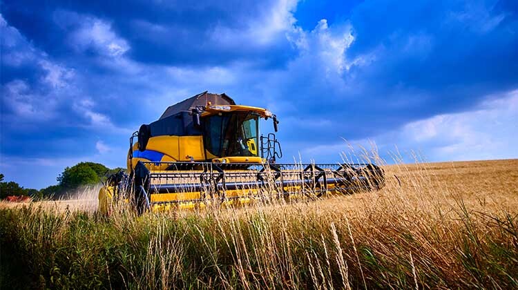 yellow harvester in a field