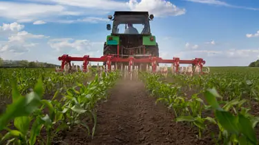 Planter Machine in Field